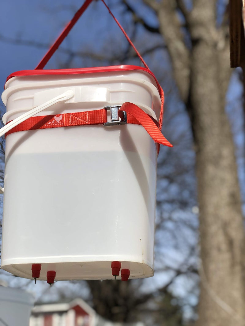 RentACoop Hanging Strap for Chicken Waterers and Feeders - Fits Every Size of Round or Square Bucket - Image 3